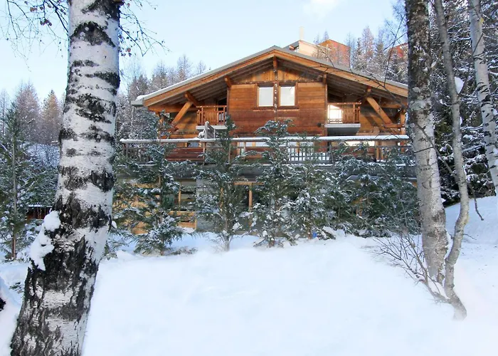 Duplex Au Chantelouve Pour 8 Personnes A Moins De 100 M Des Remontees Mecaniques Les Deux Alpes